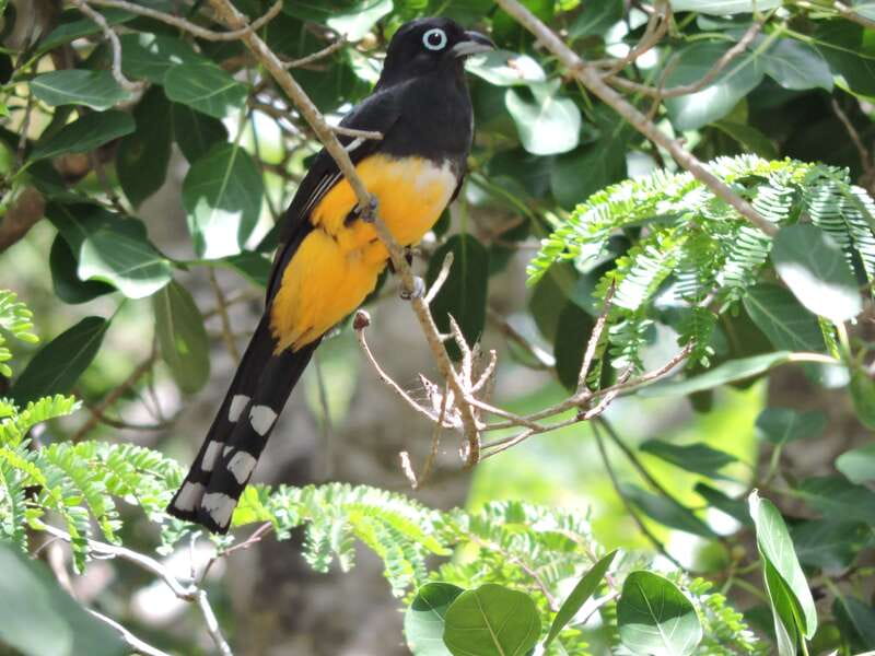 Cancún: Guided Birdwatching Hike - Leaving Cancún for the Ruta de los Cenotes