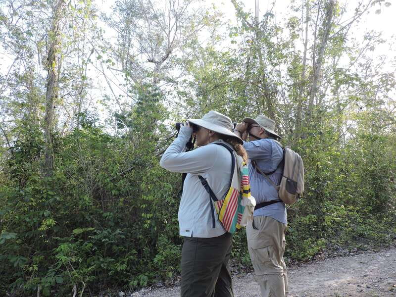 Cancún: Guided Birdwatching Hike - Coffee, fruit, and practical comforts
