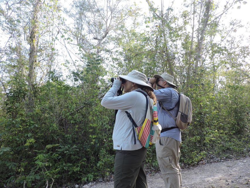 Cancún: Guided Birdwatching Hike - How the route feels compared with a resort day