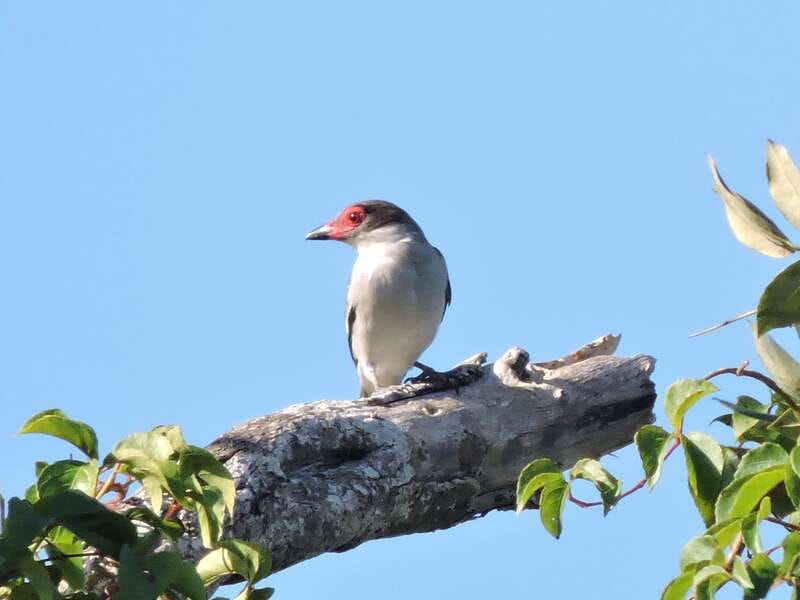 Cancun: Private Birdwatching Tour - Is $555 good value for a private group?