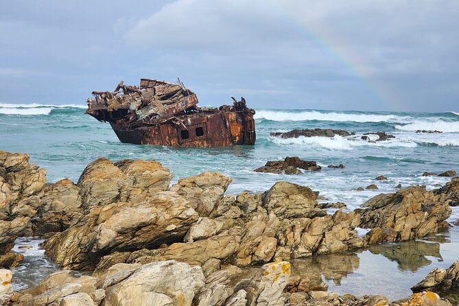 Cape Agulhas, Hermanus Whale Watching, Penguins and Wine Tasting - Hermanus combines whale watching, lunch, and a cliff walk