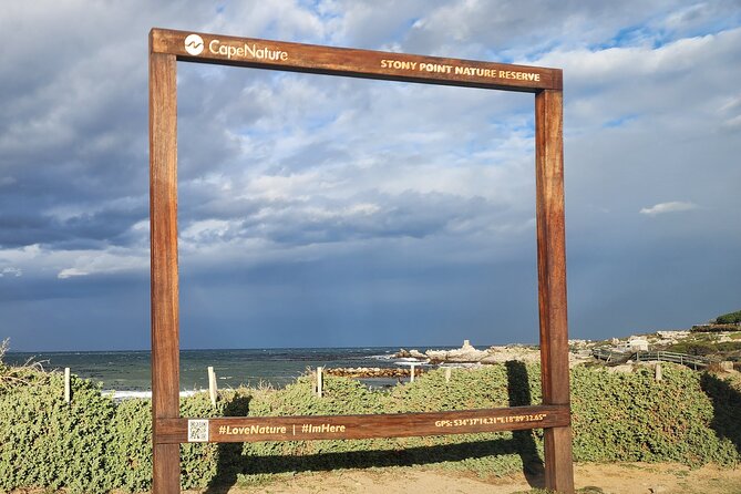 Cape Agulhas, Hermanus Whale Watching, Penguins and Wine Tasting - Stellenbosch is the alternative for wine and old Cape architecture