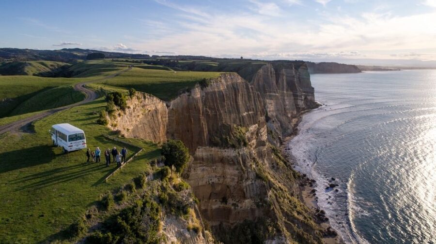 Cape Kidnappers Gannet Colony Private Tour - Meeting the gannets at close range