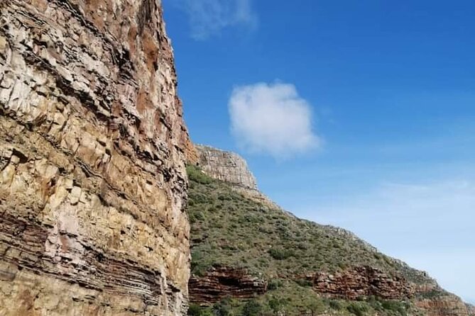 Cape of Good Hope and Penguin Beach Tour in Cape Town - Bo-Kaap and the Atlantic Coast