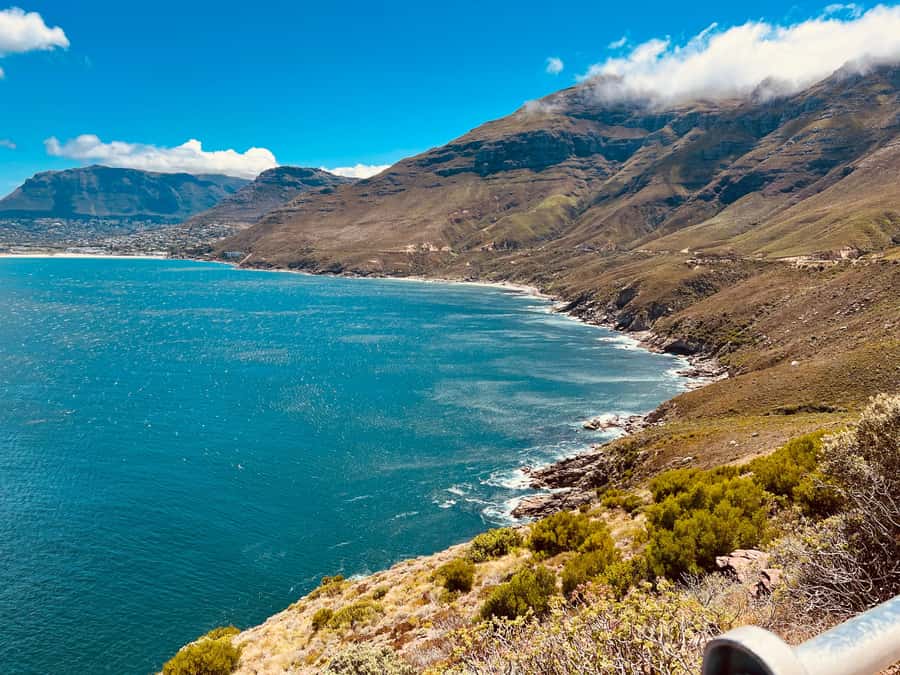 Cape of Good Hope and Penguins Full-Day Private Tour - Lunch in Simon’s Town before Cape Point