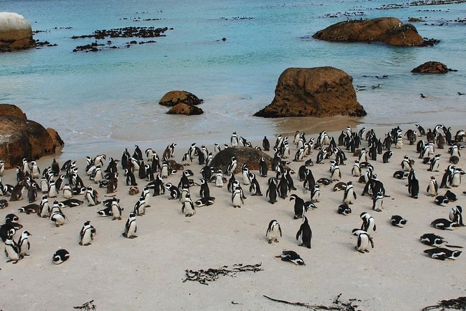 Cape Of Good Hope and Penguins Full Day Small Group Tour from Cape Town - Bo-Kaap sets the cultural tone