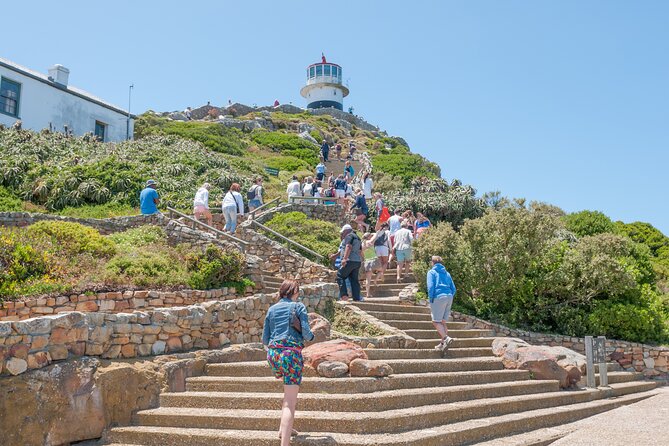Cape Of Good Hope and Penguins Full Day Small Group Tour from Cape Town - Cape Point requires careful use of your time