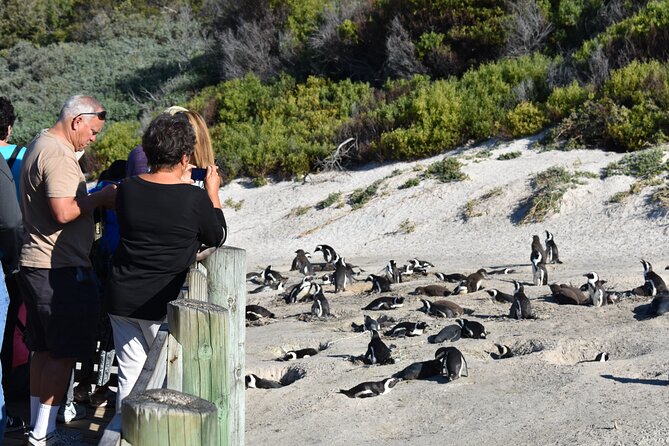Cape of Good Hope and Penguins Full-Day Tour from Cape Town - The Cape of Good Hope and Old Lighthouse