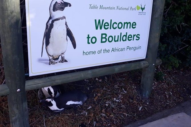 Cape of Good Hope and Penguins - Small Group - Full day - Hout Bay offers the day’s optional boat trip