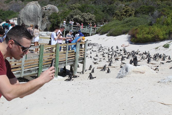 Cape Of Good Hope Bo-Kaap Penguins Full Day tour From Cape Town - Bo-Kaap brings the human story first