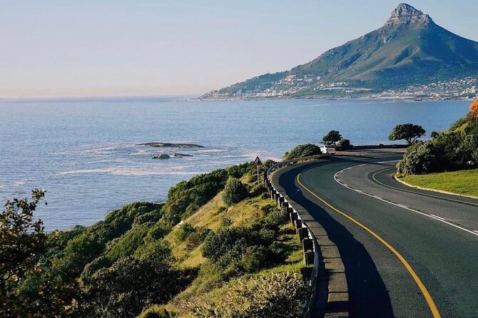 Cape of Good Hope, Cape Point, Penguins & Bo Kaap Full-Day Tour - Simon’s Town is your main meal break