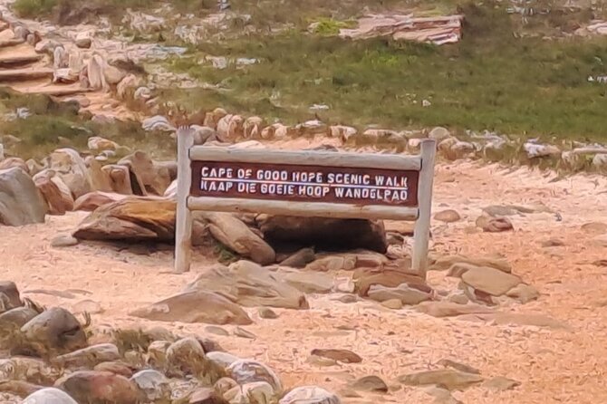 Cape of Good Hope-Cape Point & Penguins from Cape Town - A practical start from Cape Town