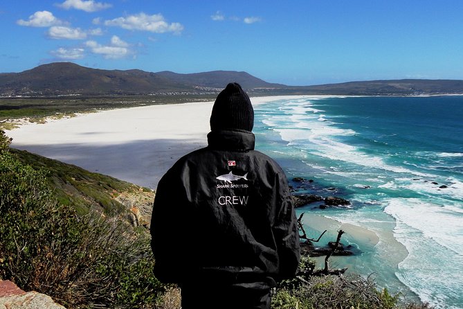 Cape of Good Hope, Cape Point & Penguins Private Afternoon Tour - The Cape of Good Hope is a separate stop