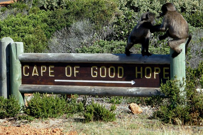 Cape of Good Hope, Cape Point & Penguins Private Afternoon Tour - Simon’s Town and Kalk Bay shape the return journey