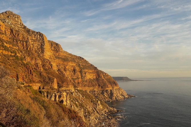 Cape of Good hope, Cape Point & Penguins, Private Morning Tour - Who should book this tour