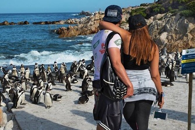 Cape of Good Hope-Cape Point - Penguins Private Tour Cape Town - Muizenberg’s warm-water beach and colorful huts