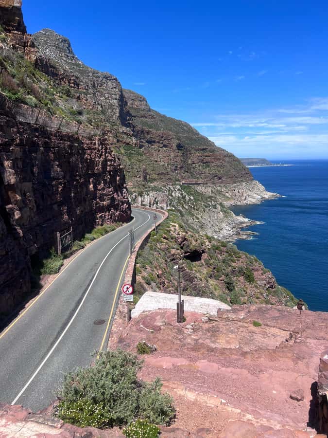 Cape of Good Hope, Chapman's Peak Drive, Penguins , Seals - Hout Bay and the optional Seal Island cruise