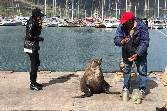 Cape of Good Hope-Penguin-Private Tour Combined With Wine Tasting Full Day Tour - Bo-Kaap and Signal Hill Set the Scene