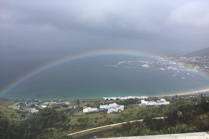 Cape of Good Hope-Penguin-Private Tour Combined With Wine Tasting Full Day Tour - Chapmans Peak and Noordhoek Slow the Pace