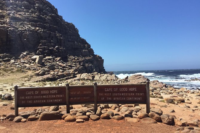 Cape of Good Hope-Penguin-Private Tour Combined With Wine Tasting Full Day Tour - Cape Point Vineyards Makes Wine Part of the Route