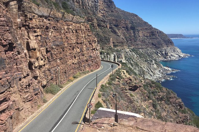 Cape of Good Hope-Penguin-Private Tour Combined With Wine Tasting Full Day Tour - Muizenberg Provides the Scenic Route Home