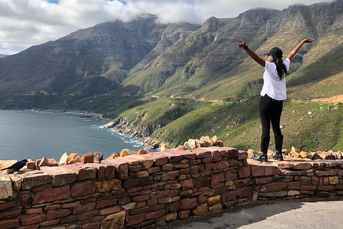 Cape of Good Hope-Penguin-Private Tour Combined With Wine Tasting Full Day Tour - Hout Bay Adds Boats, Seals, and a Market