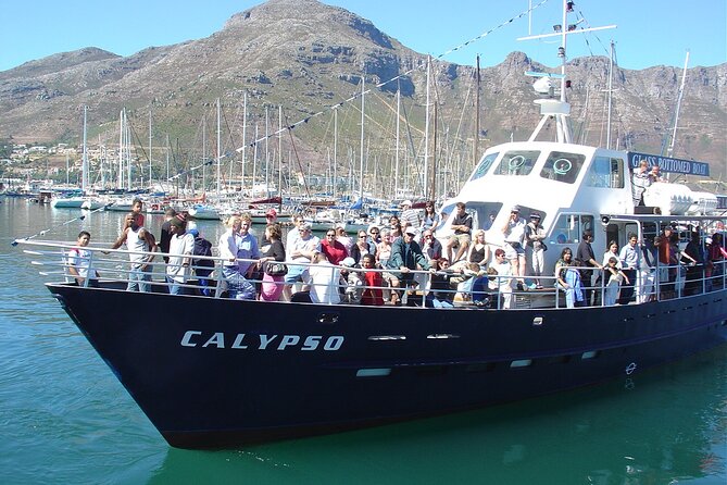 Cape of Good Hope & Penguins from Cape Town Full-Day Private Tour - Chapman’s Peak is a short stop with a huge payoff