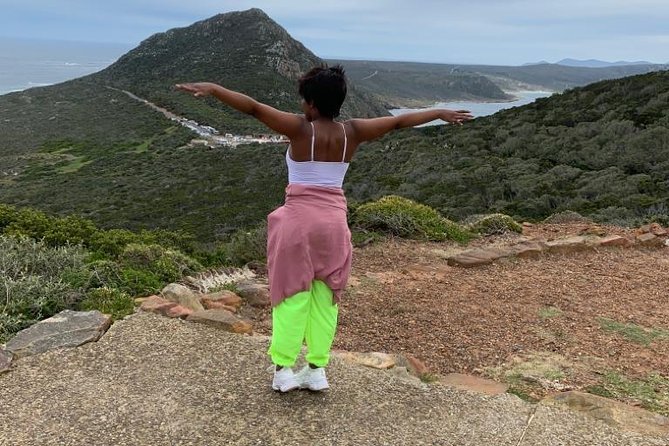 Cape of Good Hope & Penguins Full Day Tour From (The Mother City) Cape Town. - Duiker Island adds seals, boats, and an extra cost
