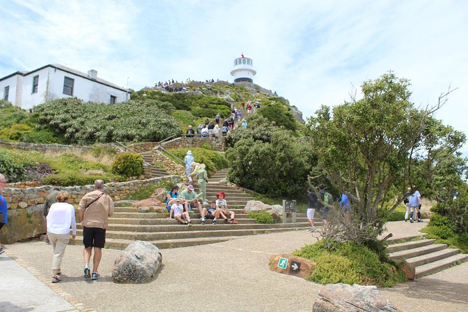 Cape Of Good Hope, Penguins Private Tour from Cape Town full day - Why a private Cape Peninsula day makes sense