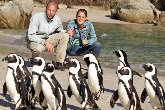 Cape of Good Hope & Penguins Small Group Tour from Cape Town - One day from Bo-Kaap to Cape Point