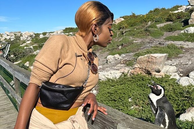 Cape of Good Hope & Penguins Small Group Tour from Cape Town - Simon’s Town and the Just Nuisance monument
