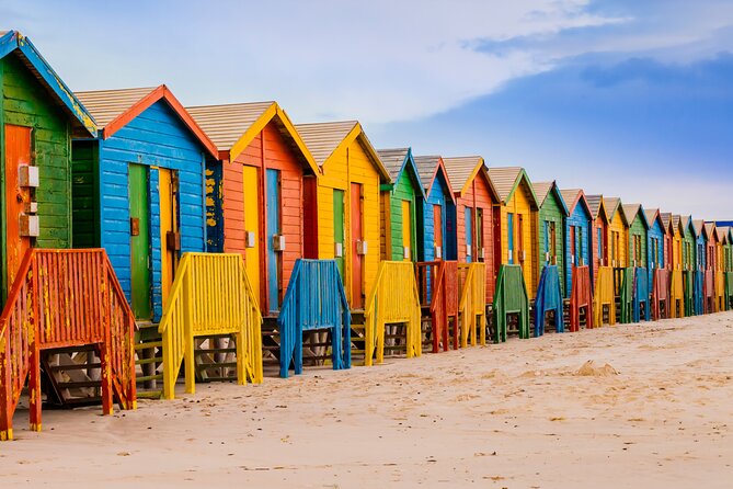 Cape of Good Hope Private Tour to Cape Point & Penguins From Cape Town - Hout Bay, harbor choices, and the seal cruise