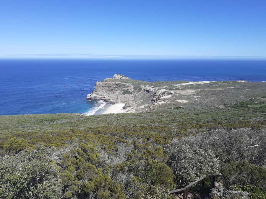 Cape of Good Hope: Sightseeing and African Penguins Tour - Boulders Beach is the star stop