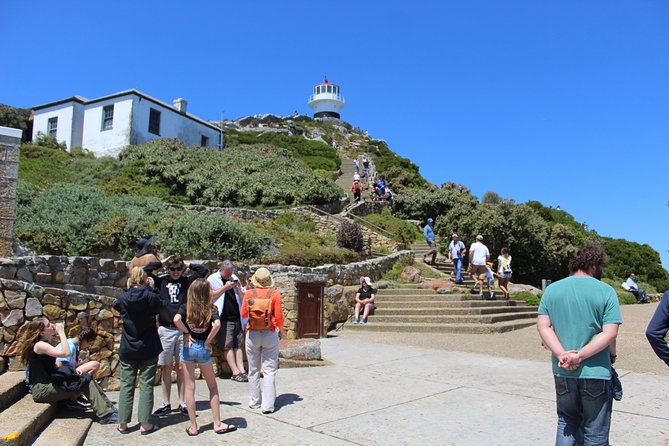 Cape of Good Hope T Mountain Bo-Kaap Penguins Private +Tickets - Cape of Good Hope: lighthouses, shipwrecks, and open country