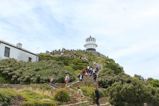 Cape of Good Hope T Mountain Bo-Kaap Penguins Private +Tickets - Table Mountain: the city from above