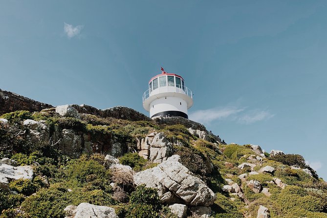 Cape of Good Hope, Table Mountain & Penguins Private Tour from Cape Town - Cape Point adds wildlife, views, and a lunch choice
