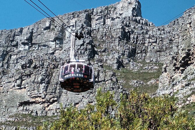 Cape of Good Hope, Table Mountain & Penguins Tour + All Tickets - Chapman’s Peak is the road highlight