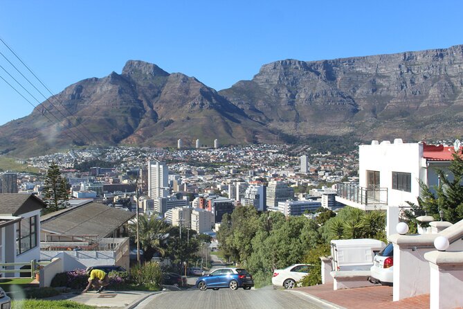 Cape of Good Hope, Table Mountain & Penguins Tour + All Tickets - Cape Point is the day’s main event