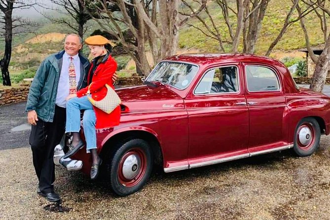 Cape Peninsula in a Vintage Car (Penguins, Cape Point & Chapman's Peak drive) - Why the vintage car changes the Cape Peninsula day