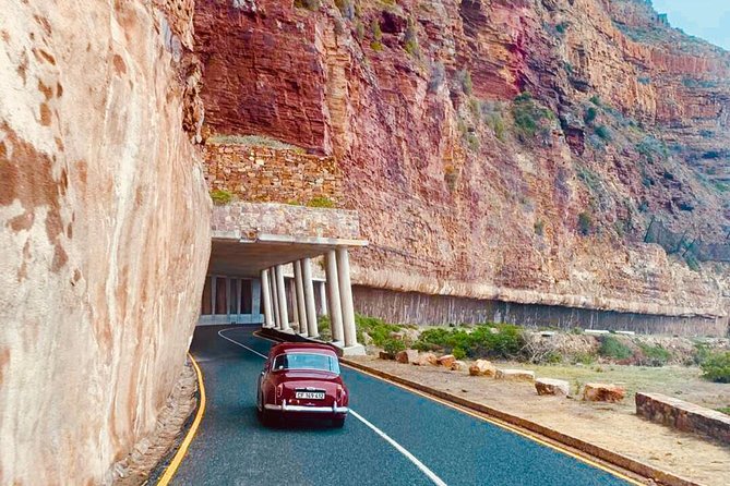 Cape Peninsula in a Vintage Car (Penguins, Cape Point & Chapman's Peak drive) - What the private format is really worth