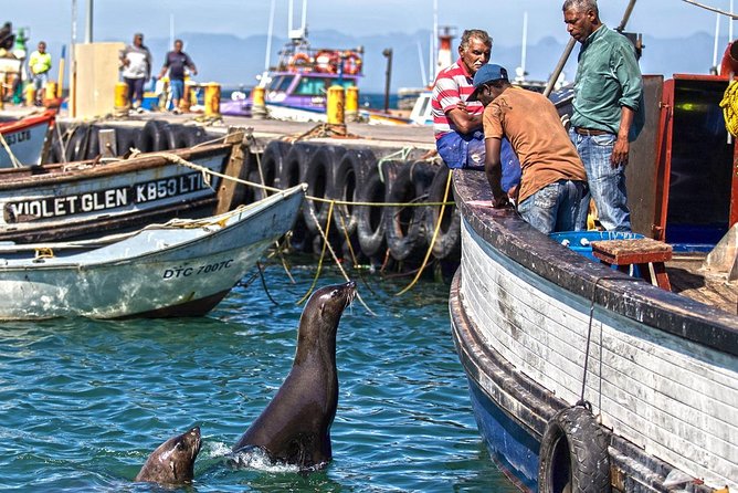 Cape Peninsula in a Vintage Car (Penguins, Cape Point & Chapman's Peak drive) - Timing, comfort, and practical planning