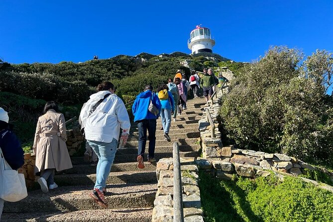 Cape Peninsula &Penguin Sightseeing in Private Car Full Day Tour - Chapman’s Peak is the scenic centerpiece
