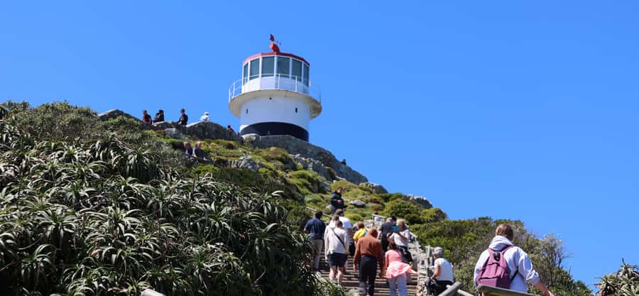 Cape Peninsula & Penguins Beach Half Day Tour from Cape Town - Why this six-hour route works for a short stay