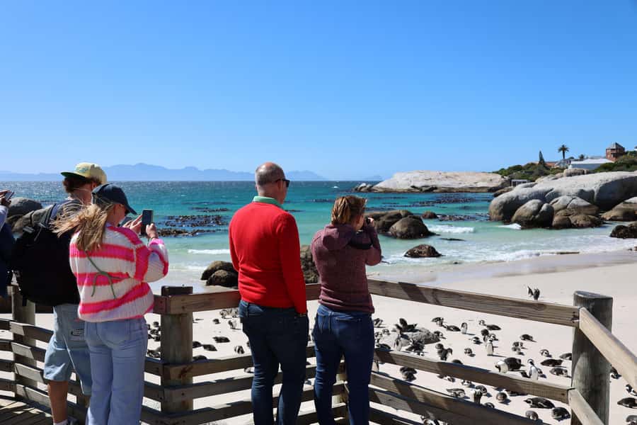 Cape Peninsula & Penguins Beach Half Day Tour from Cape Town - Muizenberg gives the return trip a colorful finish