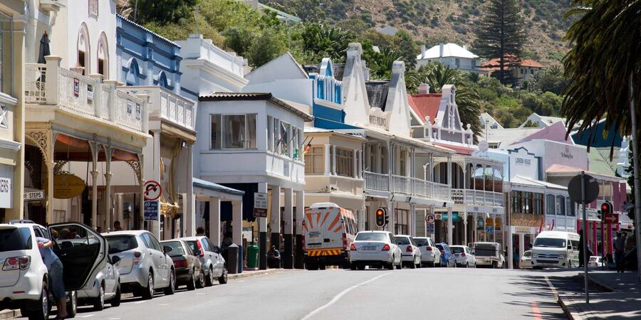 Cape Peninsula & Penguins Beach Half Day Tour from Cape Town - The guides add more than directions