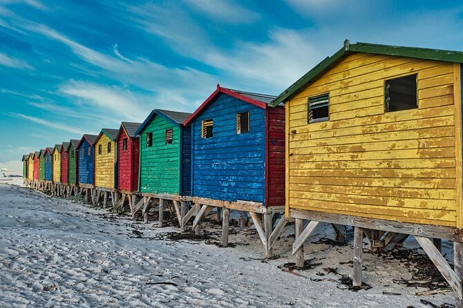 Cape Peninsula & Penguins Private Day Tour, Entrances Included. - Chapman’s Peak is the scenic centerpiece
