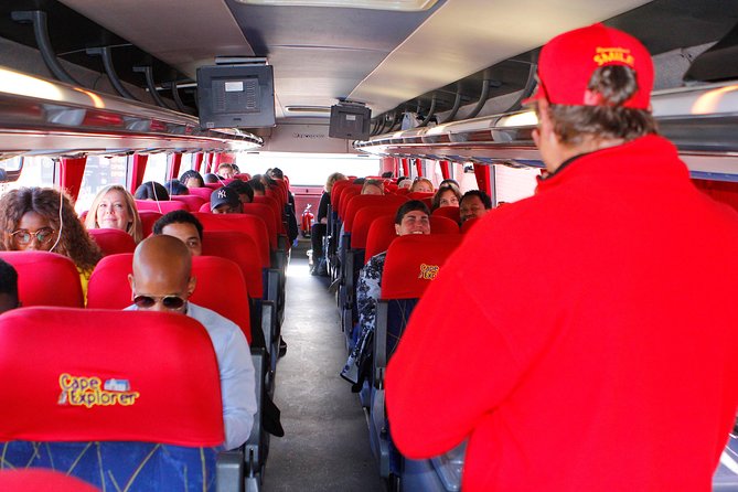 Cape Point and Boulder's Penguins Full Day Tour - From Muizenberg to Simon’s Town