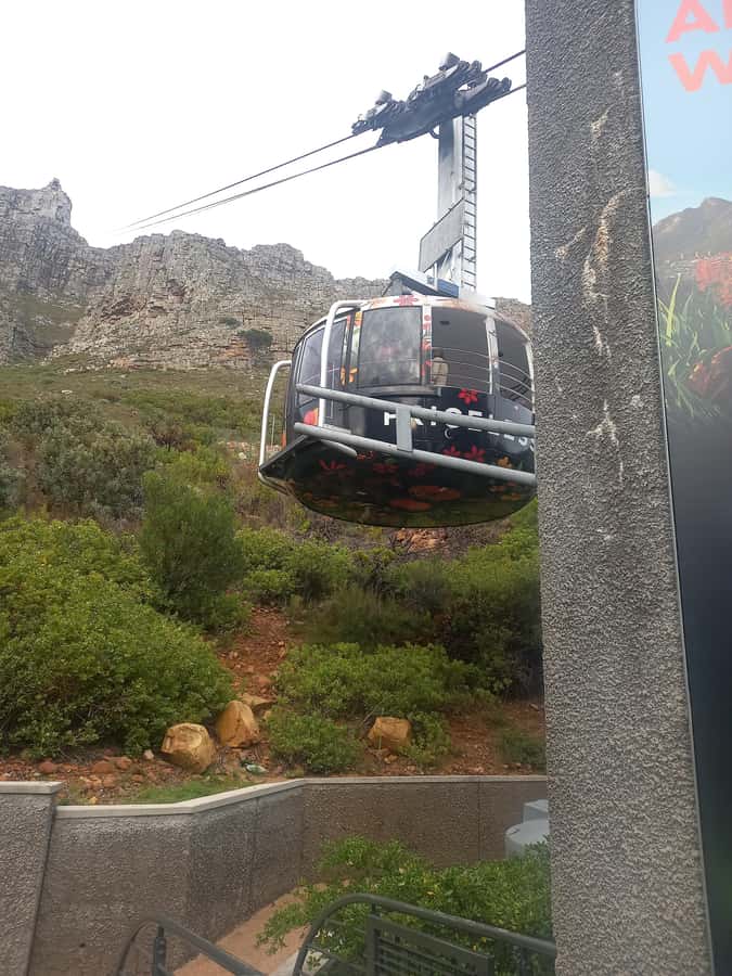 cape point and penguin ,muizenberg, bookapp - Boyes Drive, Muizenberg, and Bo-Kaap