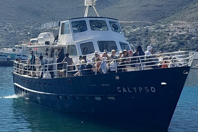Cape Point Cape Of Good Hope And Penguins Private Tour - Atlantic views at Maidens’ Cove and Hout Bay