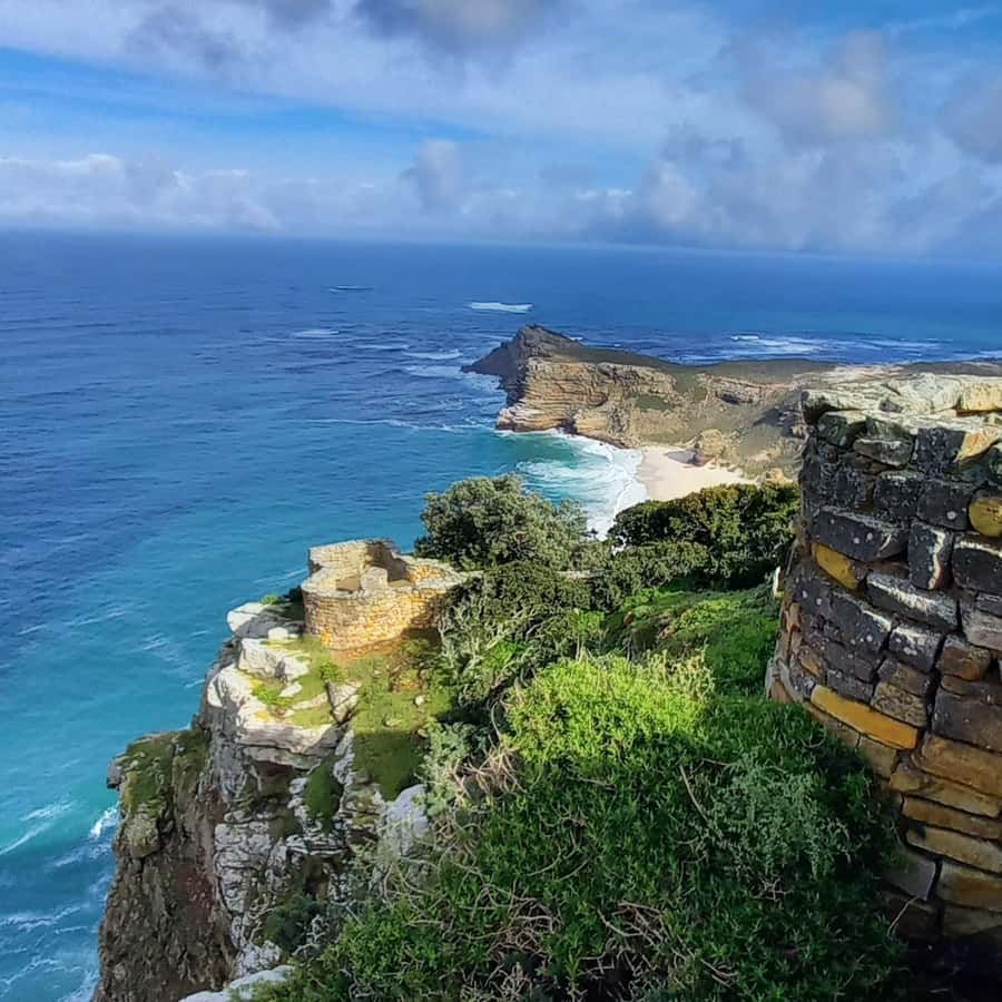 Cape Point Cape of Good Hope, Penguins Private Half day Tour - Boulders Beach and the African penguin colony